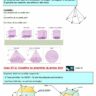 6è - Prismes droits: cours