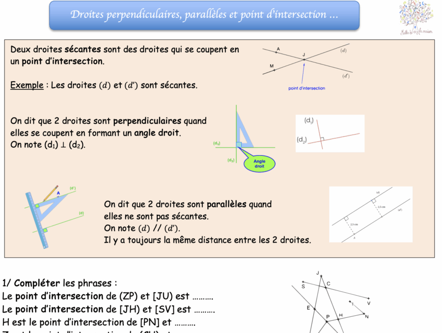 Fiche Droites perpendiculaires, sécantes, parallèles, point d'intersection