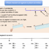 Fiche Tracer, noter, mesurer, coder un segment et placer son milieu