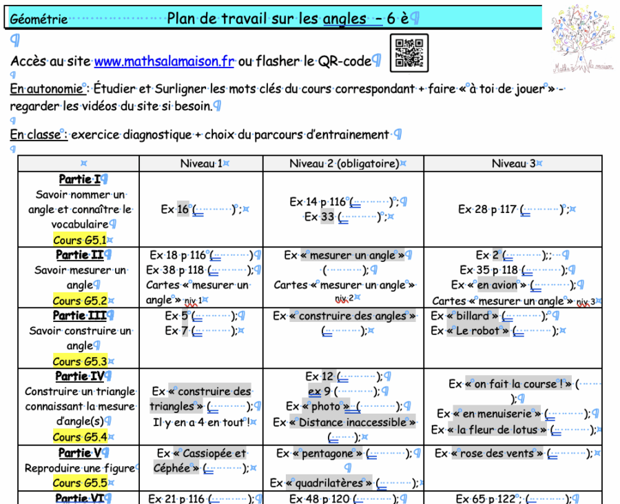 6è - Angles: Plan de travail