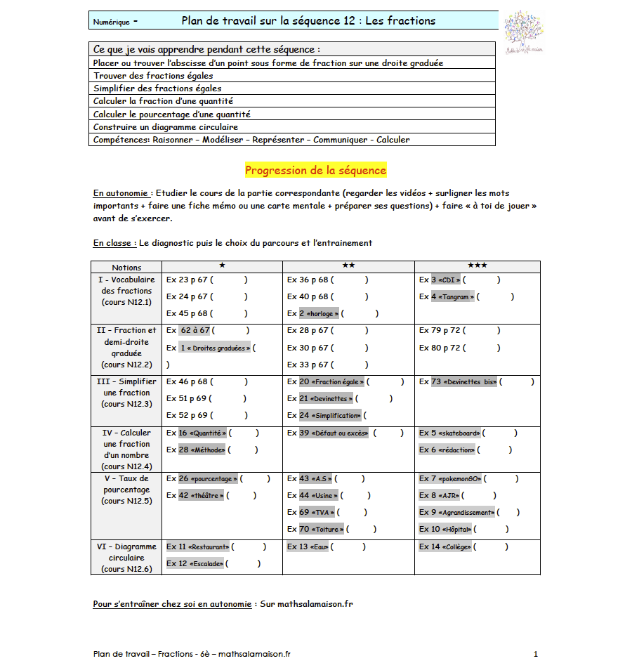 6è - Fraction: Plan de travail